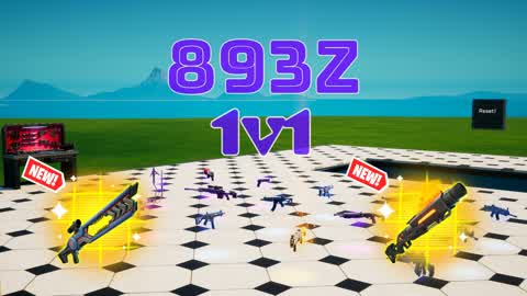 893z 1v1