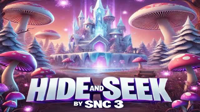 HIDE AND SEEK SNC3
