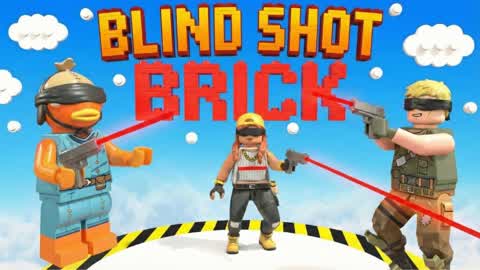 BLIND SHOT BRICK