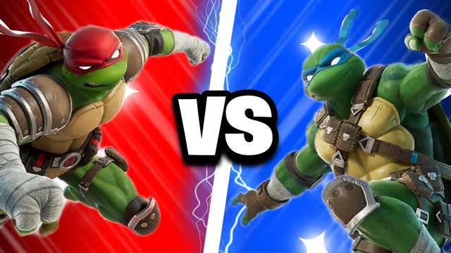 Raphael VS Leonardo