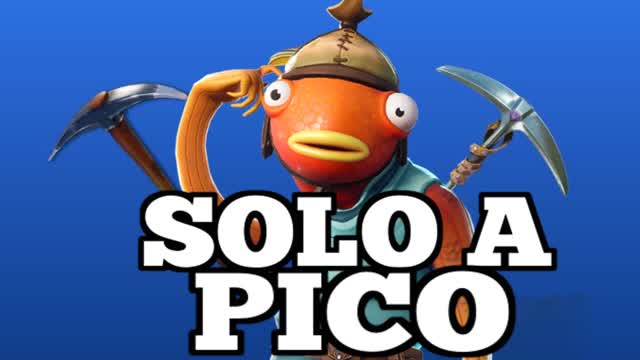 SOLO PICO ⛏