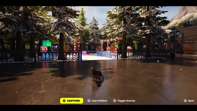 Best friends & pets party royale