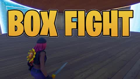 BOX FIGHT DO CHRIS