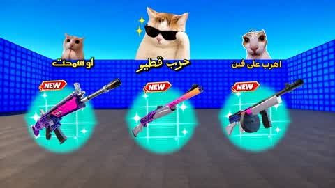 Qatiu War 😼 | WAR CATEW
