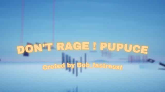 Capture 1 – Don't rage ! Pupuce