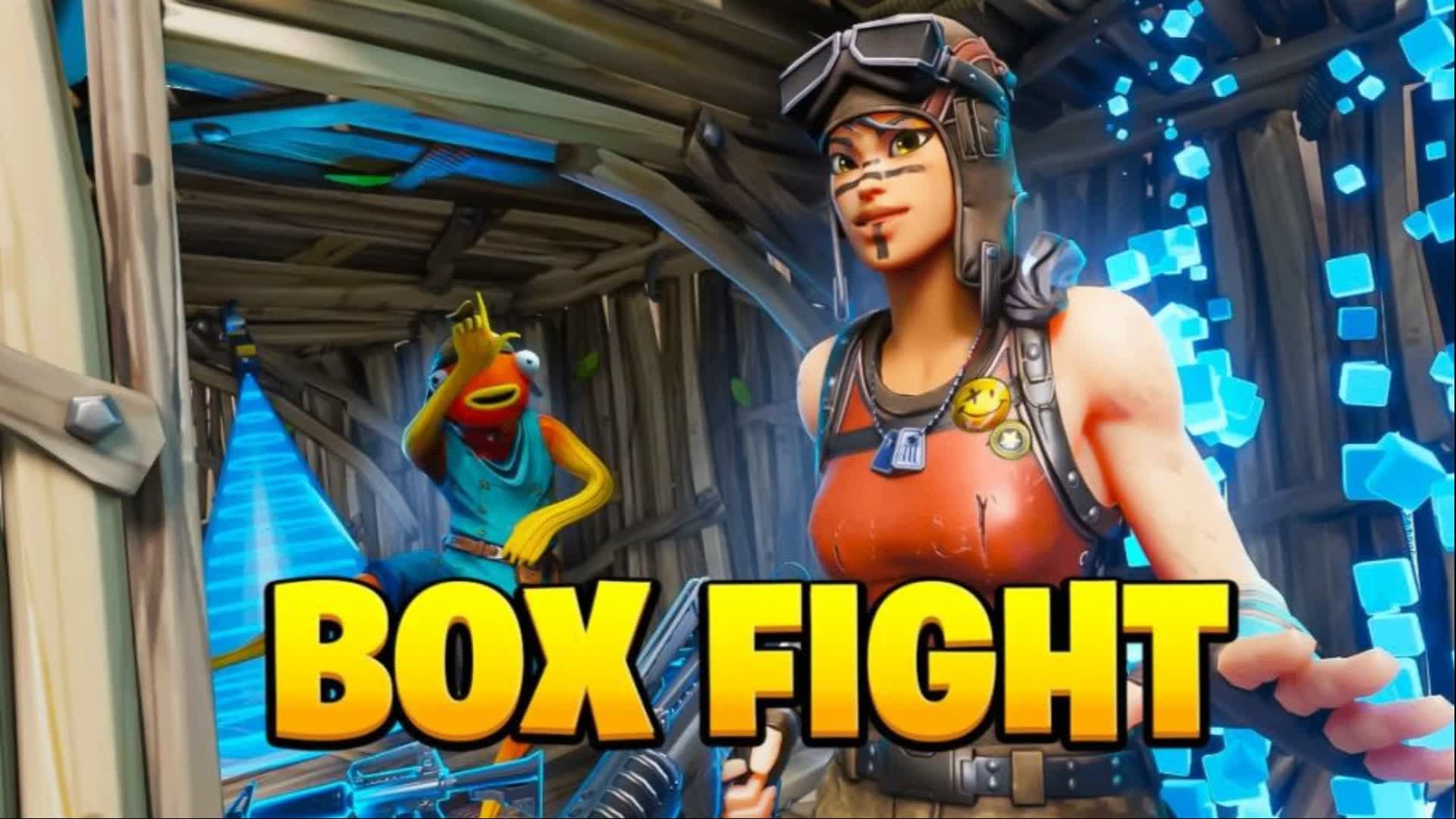 RVL BOXFIGHTS