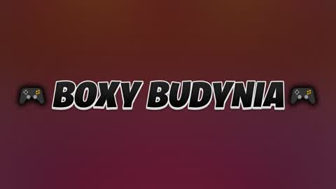 🎮Boxy Budynia🎮