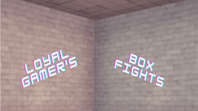 LOYALGAMER'S BOXFIGHTS