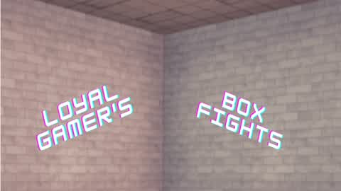 LOYALGAMER'S BOXFIGHTS
