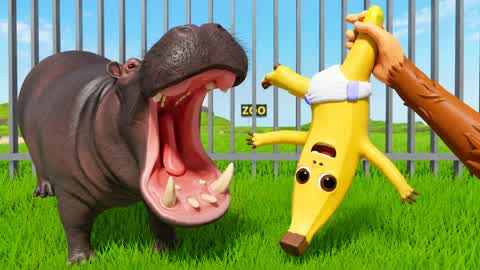 Zoo escape [Survival]