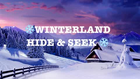 Winterland Hide & Seek ❄️