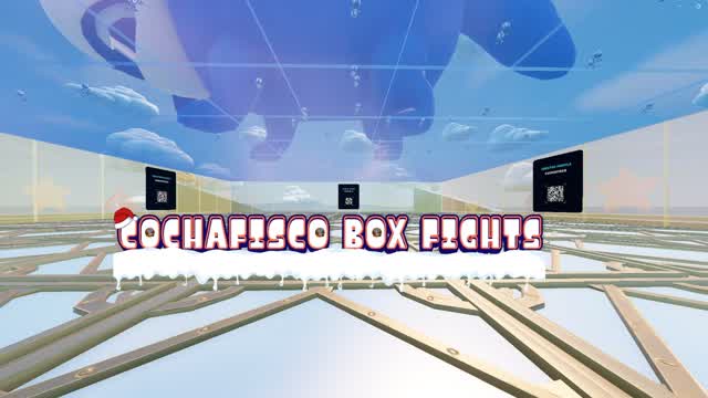 COCHAFISCO BOX FIGTHS