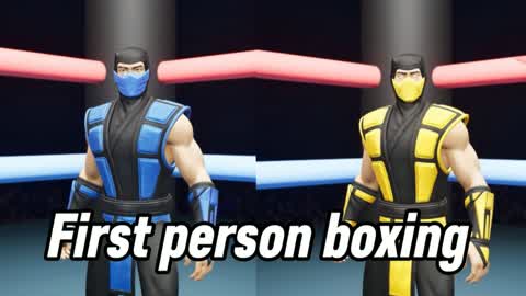 First Person Boxing