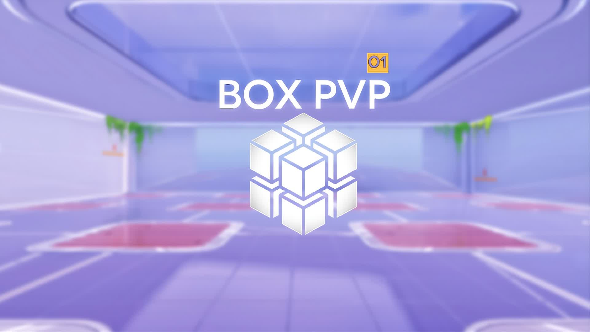 BOXPVP 01
