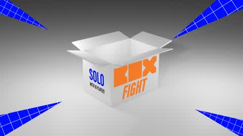 PRO BOX FIGHT