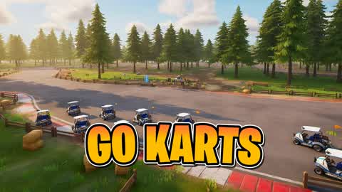 Go Karts Race