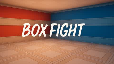Box fight realistic