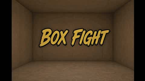 Box fight