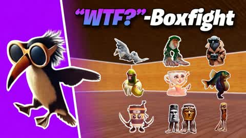 WTF?"-Boxfight 1v1 pvp