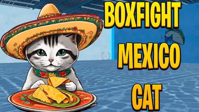 Boxfight cat mexico