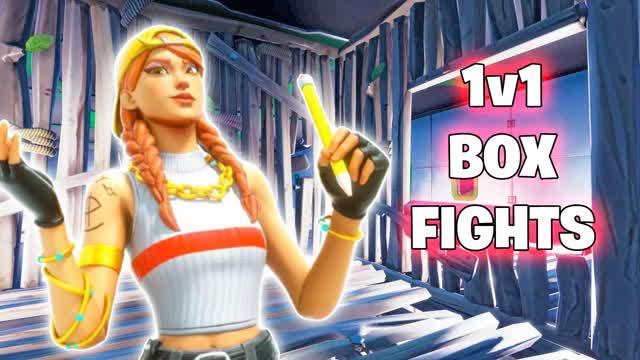 1v1 Box Fights