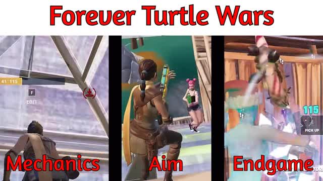 Forever Turtle Wars
