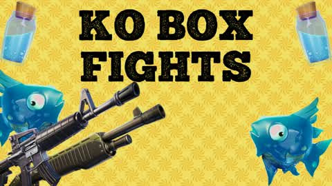 KO BOX FIGHTS