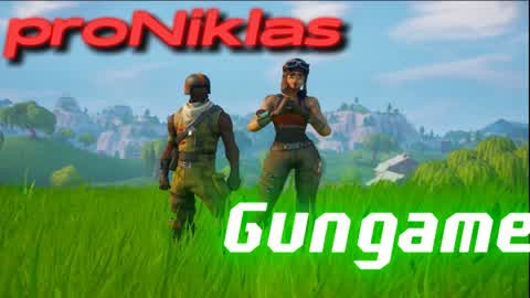 proNiklas Gungame