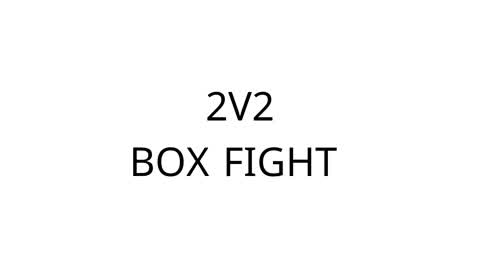 box fight 2V2 ah91