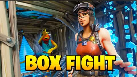 Box fight 16!