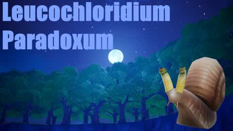 Leucochloridium Paradoxum