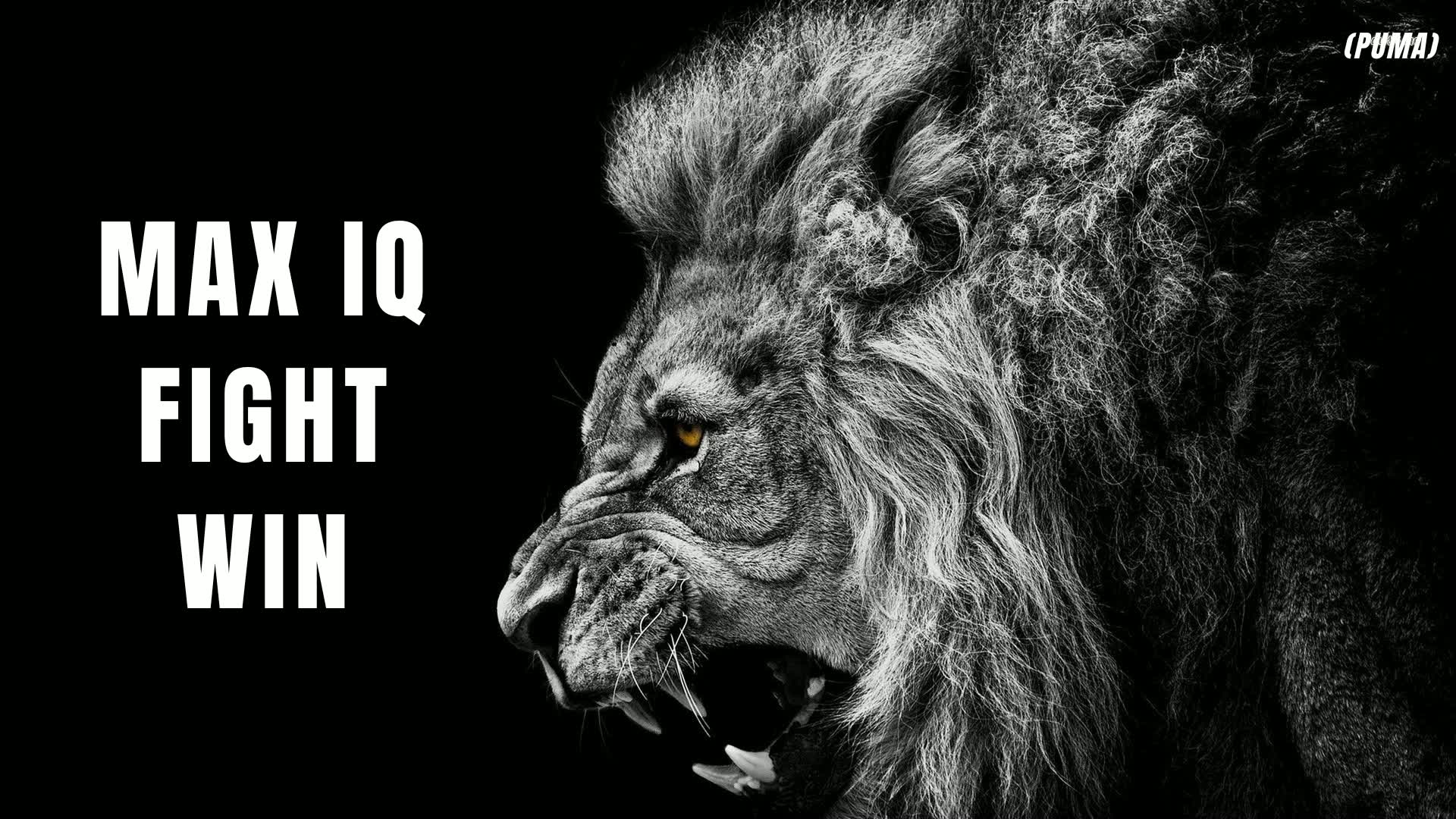 1v1 Build Fights (Puma)