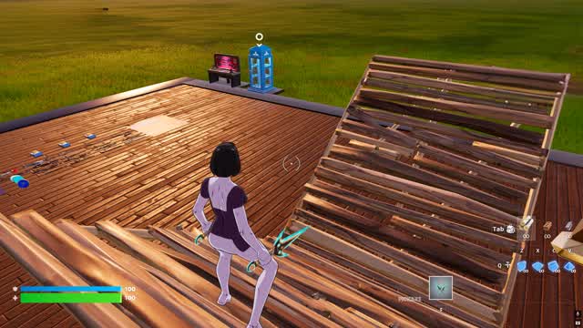 1V1 ARENA BATTLE
