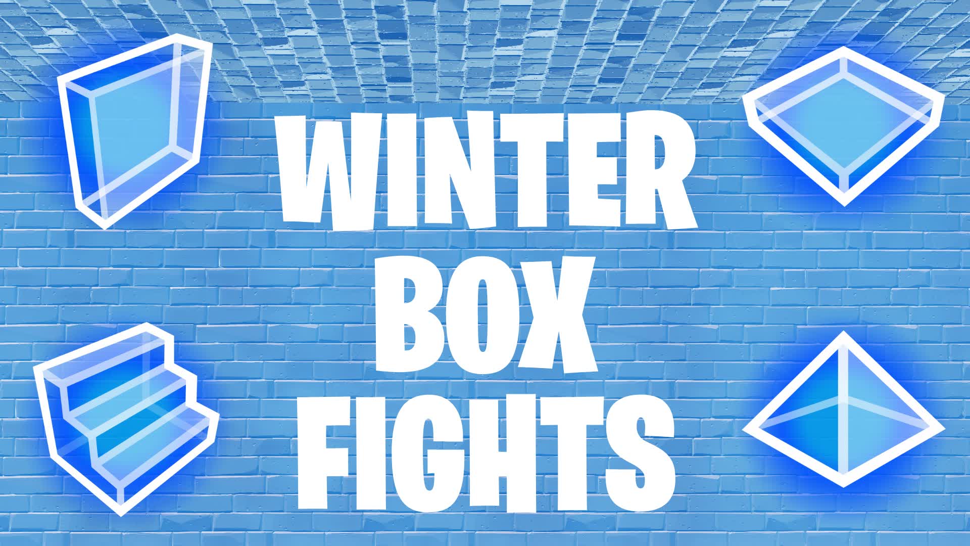 WINTER BOX FIGHTS