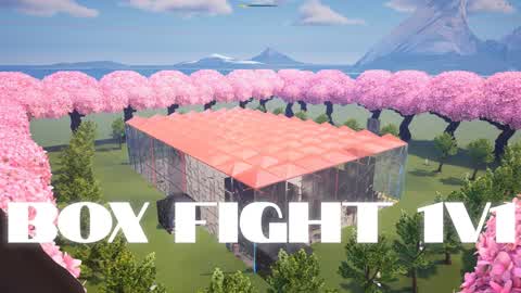 Box Fight DS