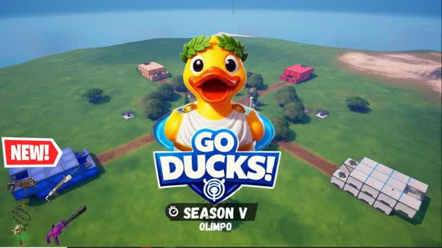 🦆!GO DUCKS! Zone Wars 🌀