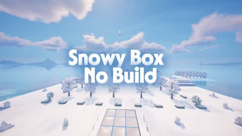 Snowy Box No build