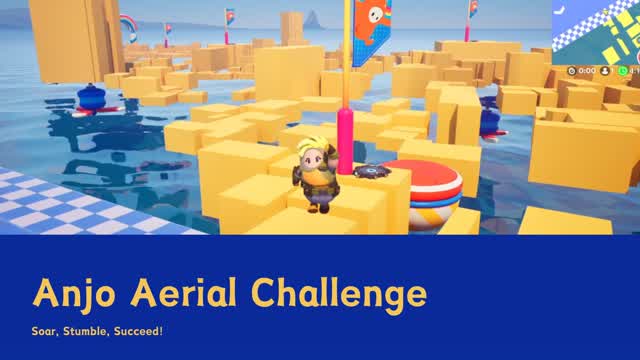Anjo Aerial Challenge