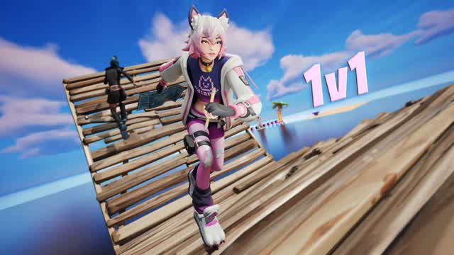 CUSTOM 1V1 ANY GUN