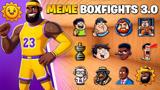LEBRON MEME BOXFIGHTS 📦