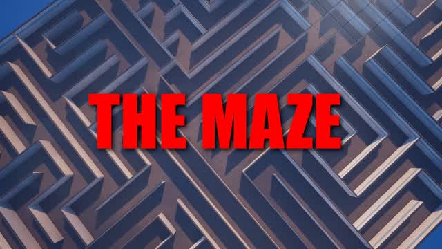 Capture 1 – THE MAZE