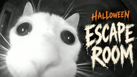 🐈⬛ Halloween Escape Room 🐈⬛