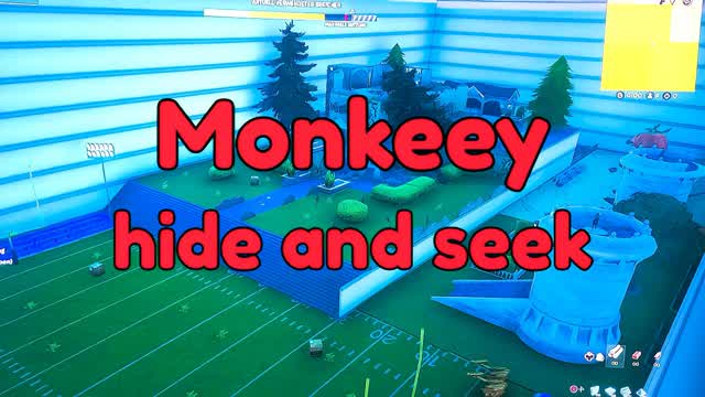 Monkeeys hide and seek
