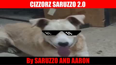 ❤️cizzorz saruzzo 2.0 ❤️