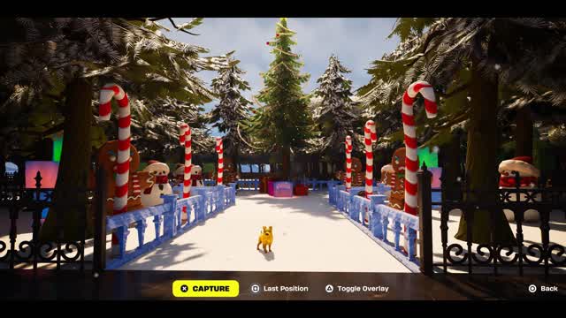 Best friends & pets party royale