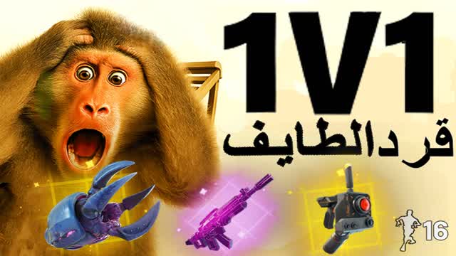 1V1 Taif Monkey 🙉🙊🐒 قرد الطايف