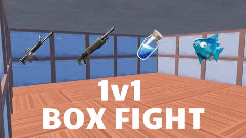 1v1 BOX FIGHT