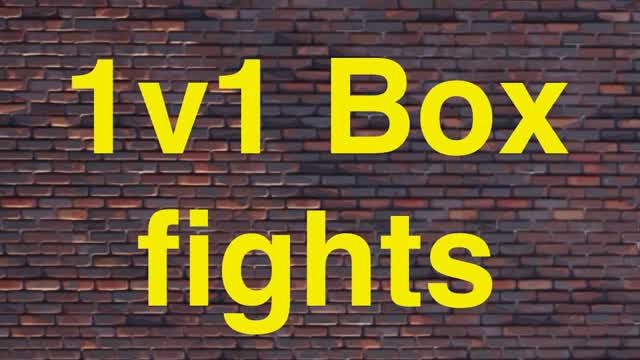 1v1 box fights