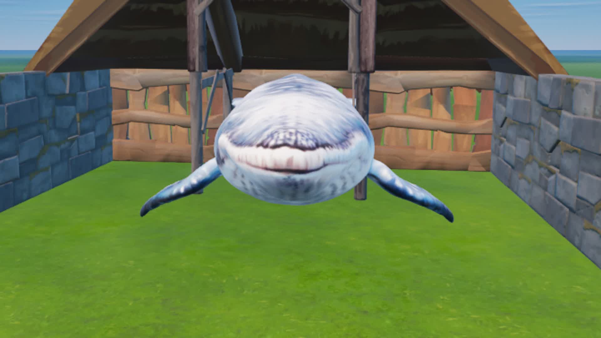 MEET NICE WHALE
