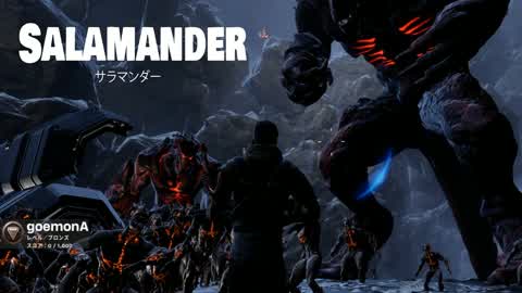 Salamander
